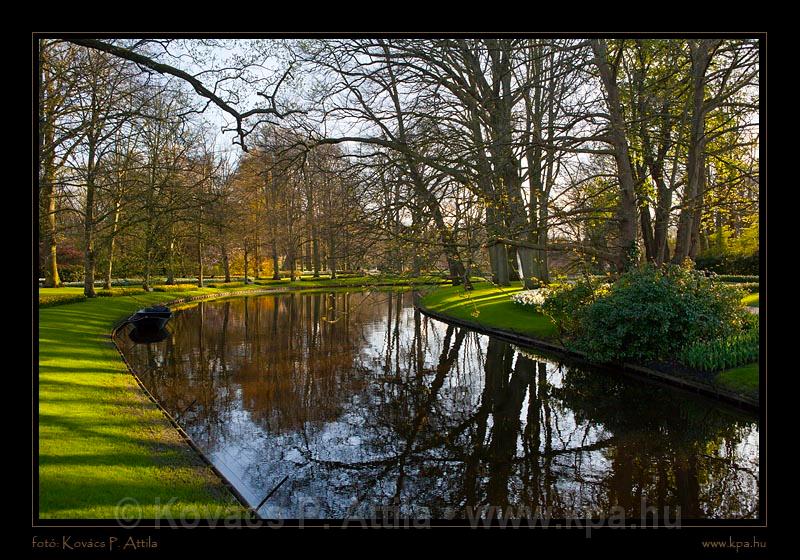 Keukenhof Hollandia 120.jpg